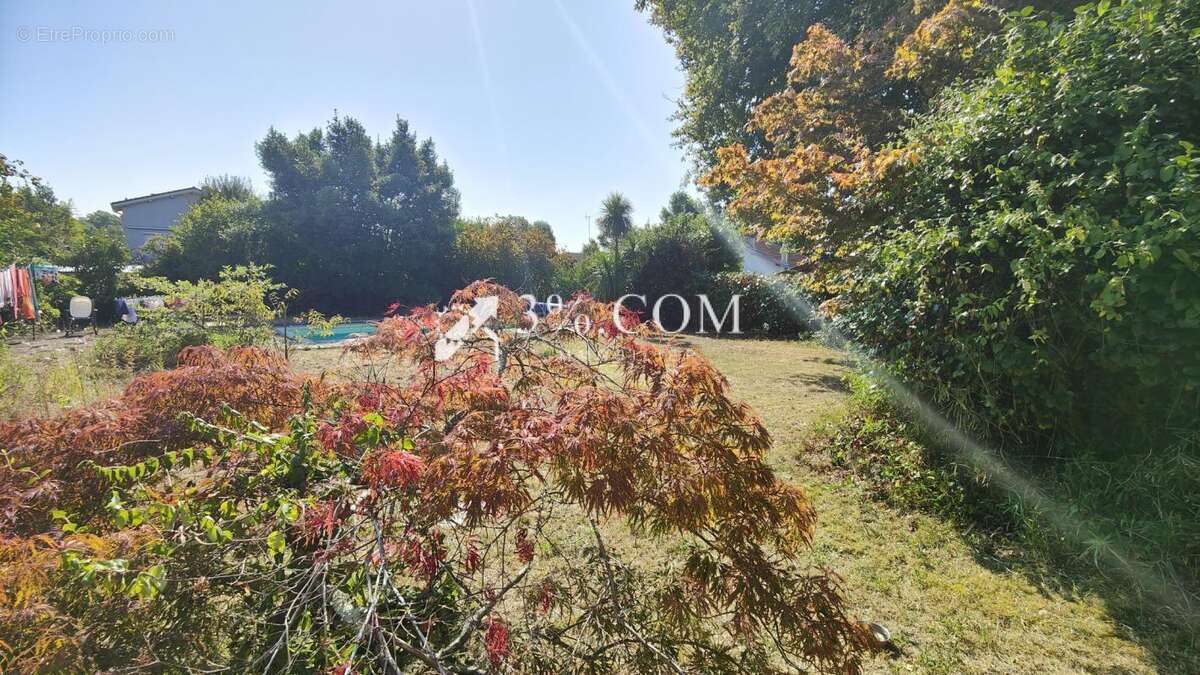 Maison à SAINT-PIERRE-DU-MONT