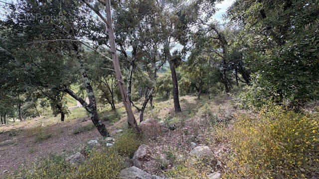 Terrain à FLASSANS-SUR-ISSOLE