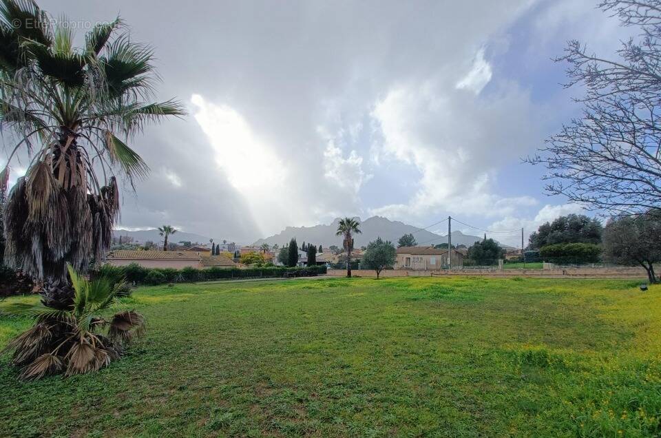 Terrain à ROQUEBRUNE-SUR-ARGENS
