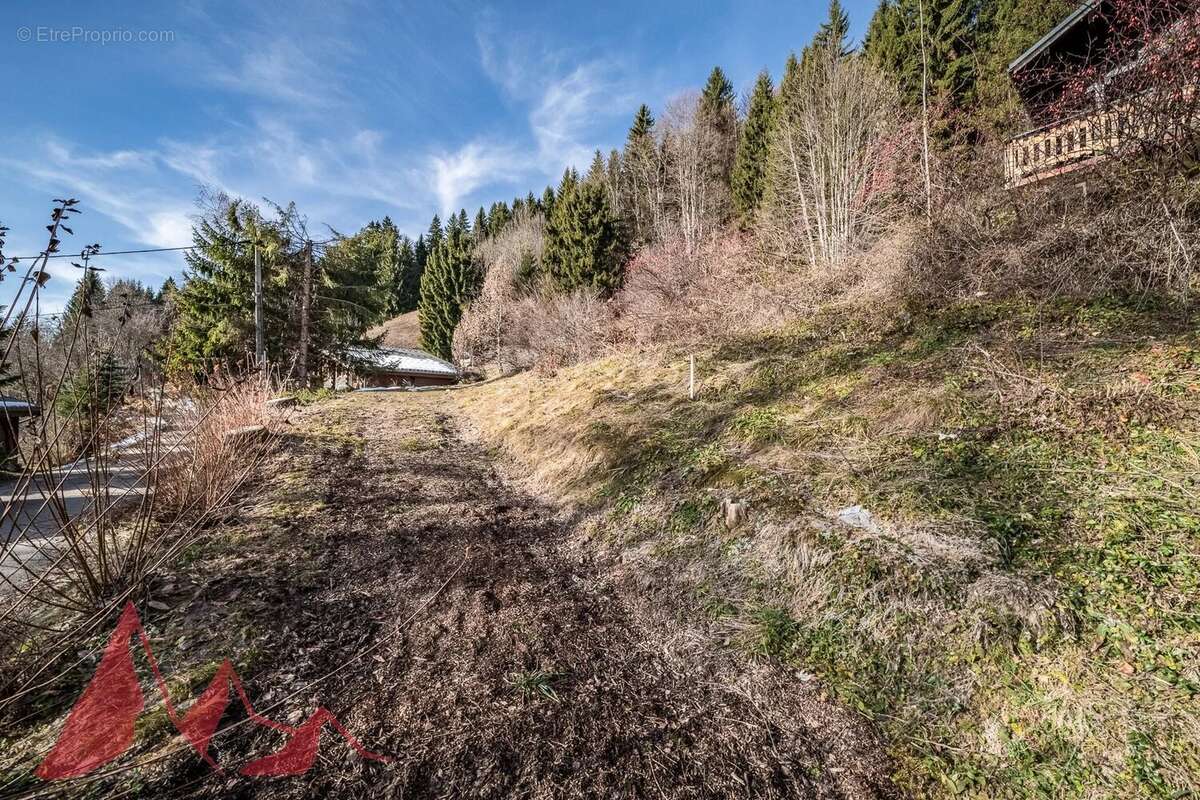 Terrain à LES GETS