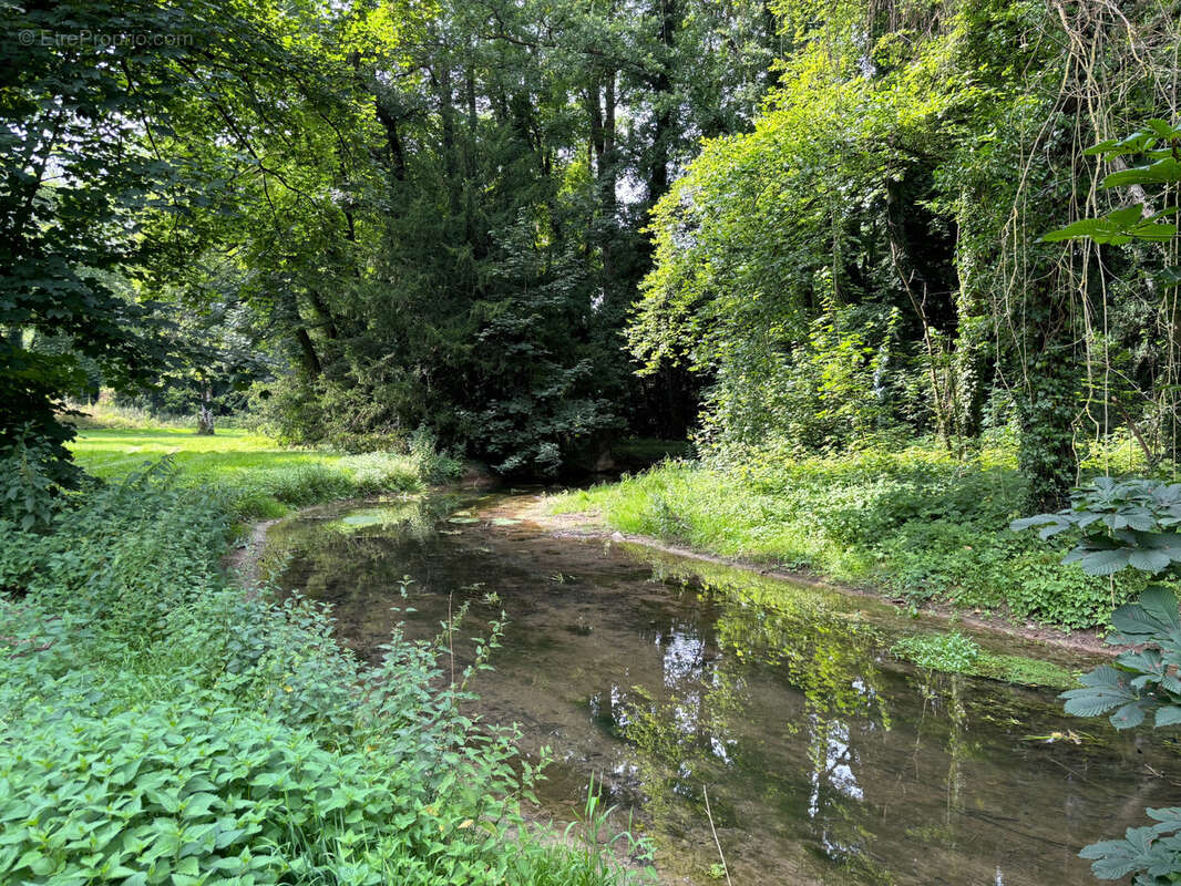 Domaine prestige sur 8,7 hectares - photo 19