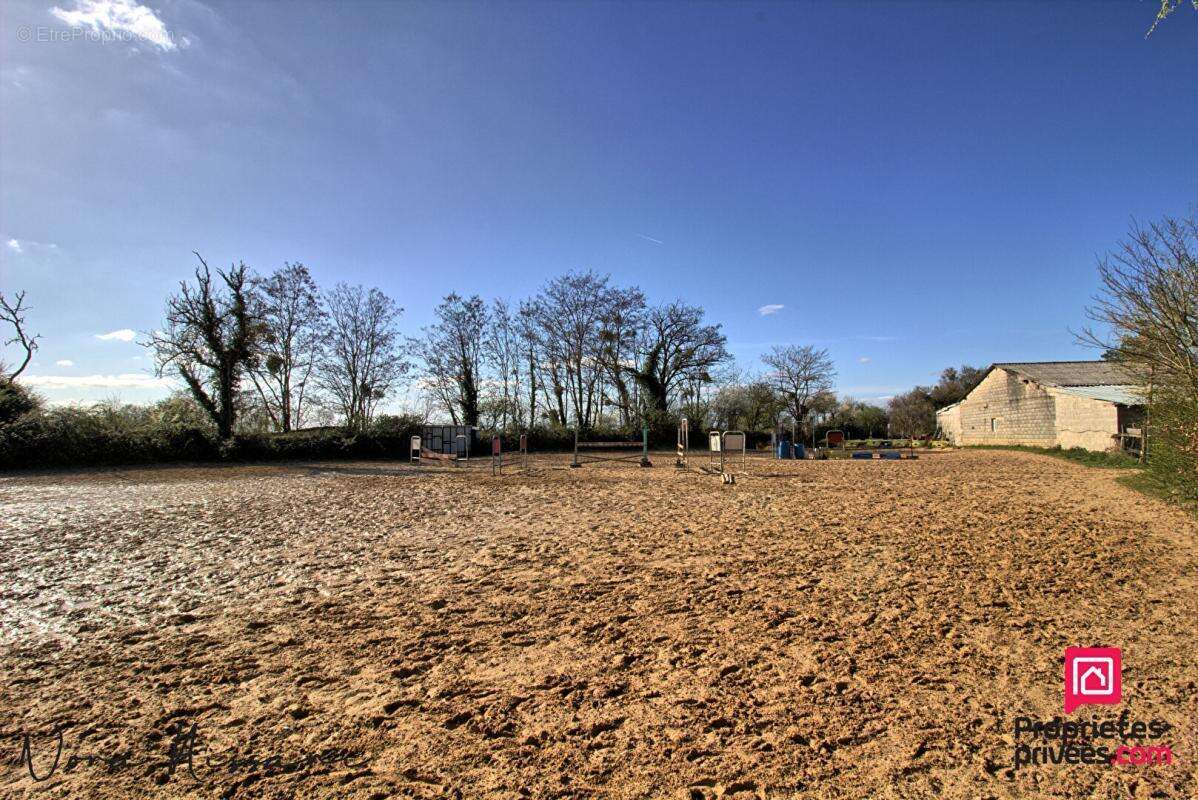Ecuries 10 boxes 4 hectares - photo 3