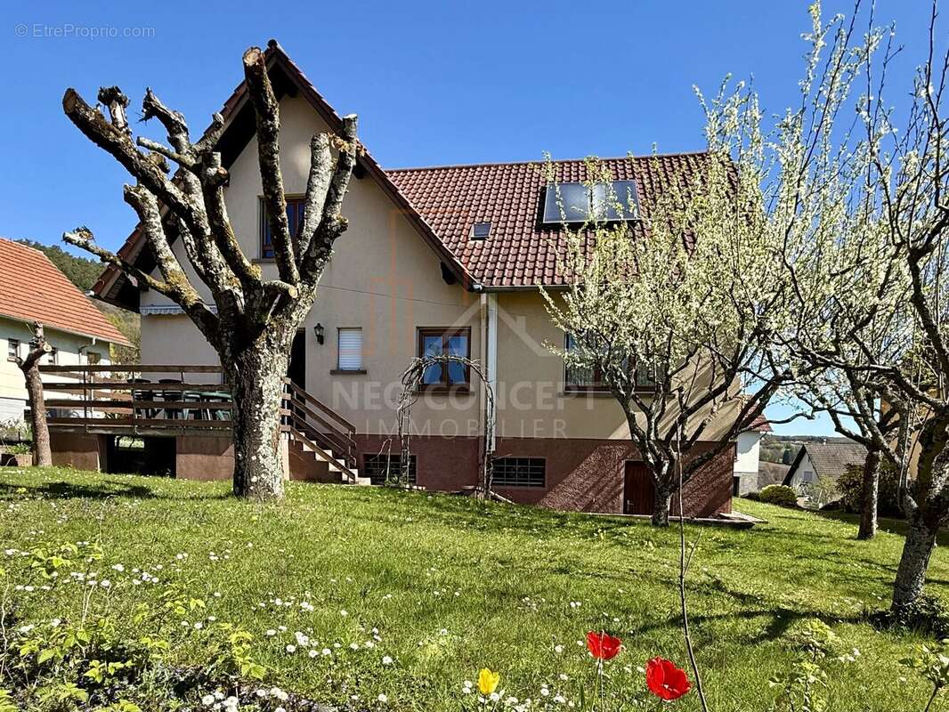 Maison à NIEDERBRONN-LES-BAINS