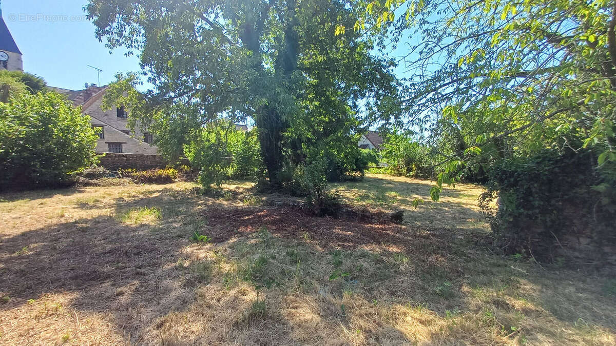 Terrain Cherence - photo 3
