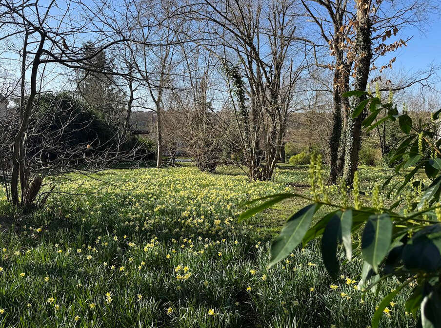 Maison à SAINTRY-SUR-SEINE