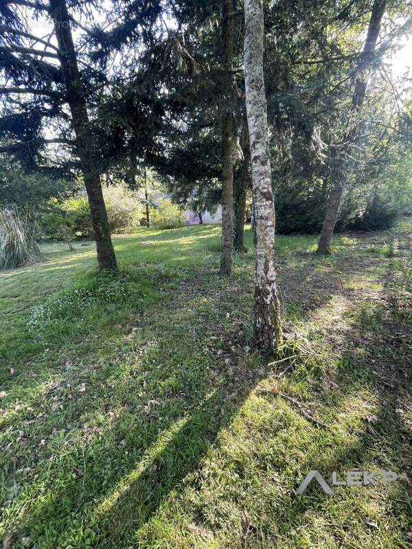 Terrain à SAINTE-MARIE