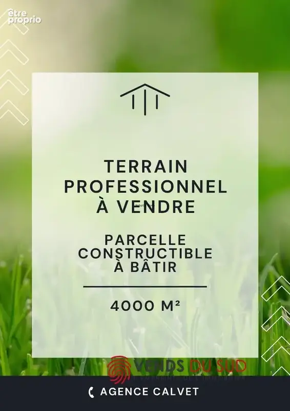 Terrain professionel - photo 4