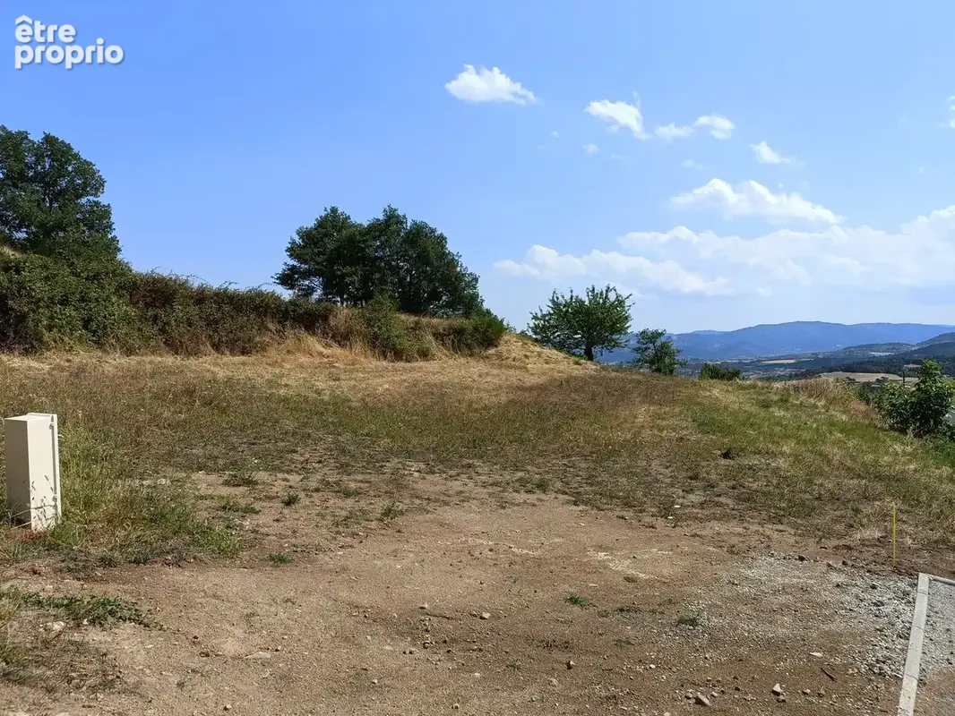 Terrain