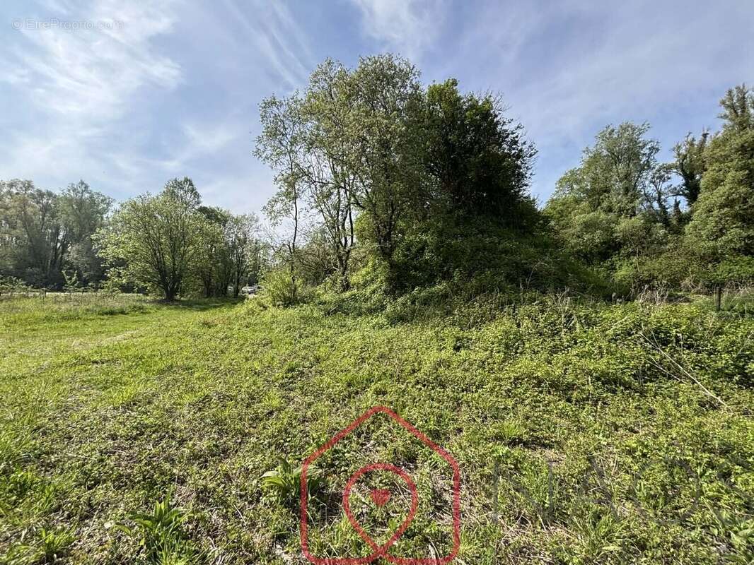Foncier d'exception avec fort potentiel de valorisation  Secteur Beauchamps (80) - photo 6