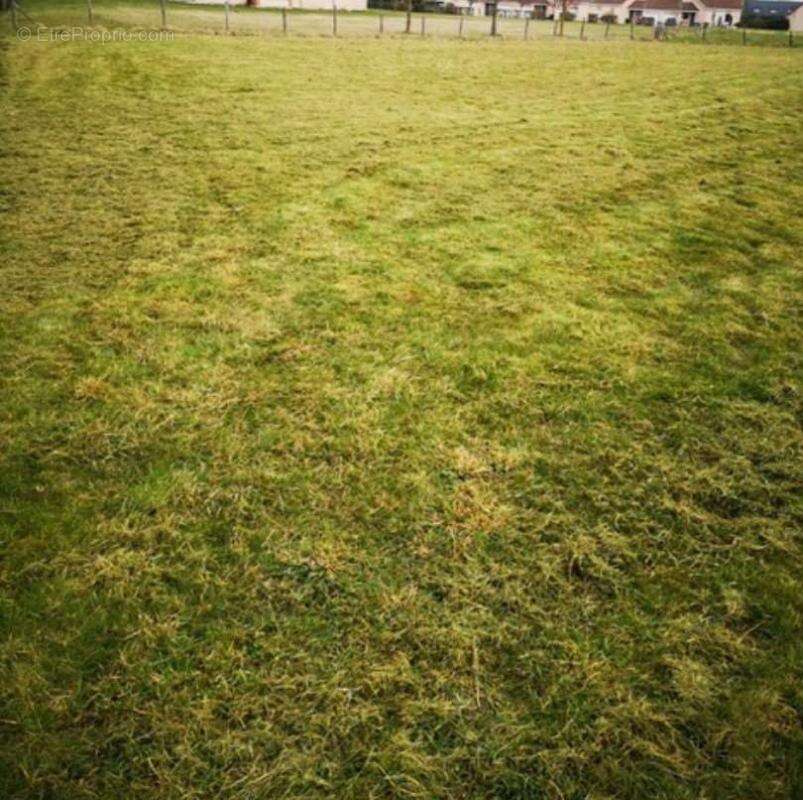 Terrain à LA FERTE-FRENEL