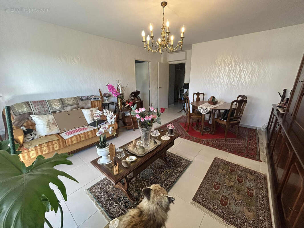 Autre à SAINT-RAPHAEL