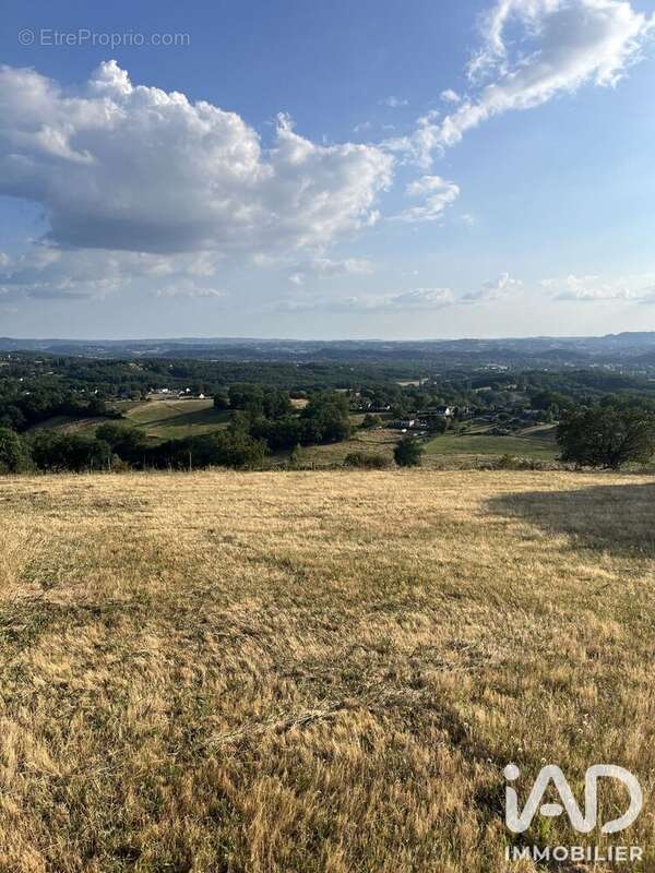 Terrain 7987 m² à Allassac  - photo 6