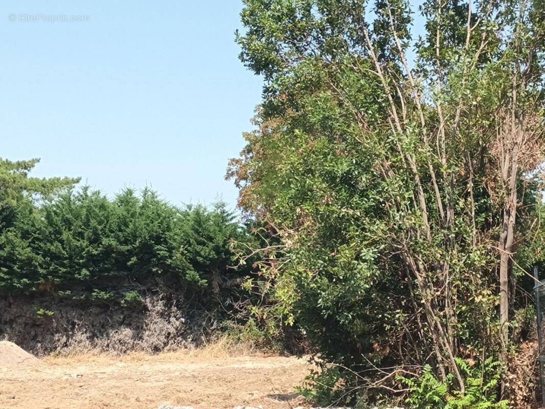 Terrain à NIEUL-SUR-MER
