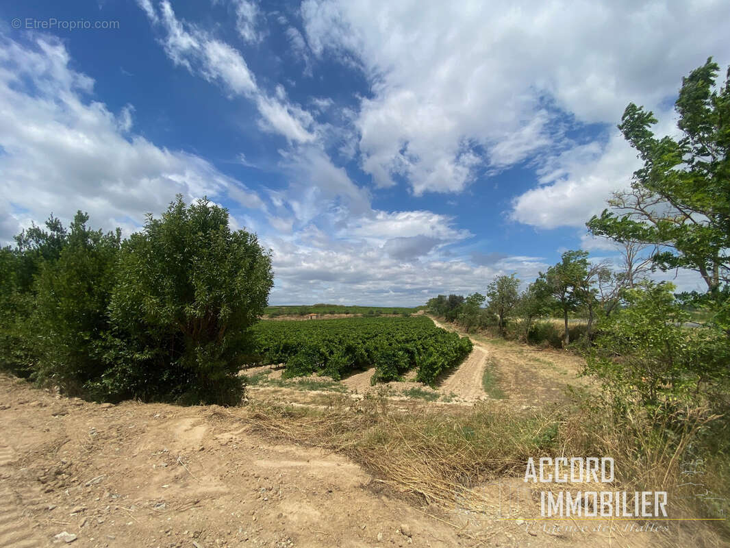 886m2 de terrain constructible a montels !!! - photo 5