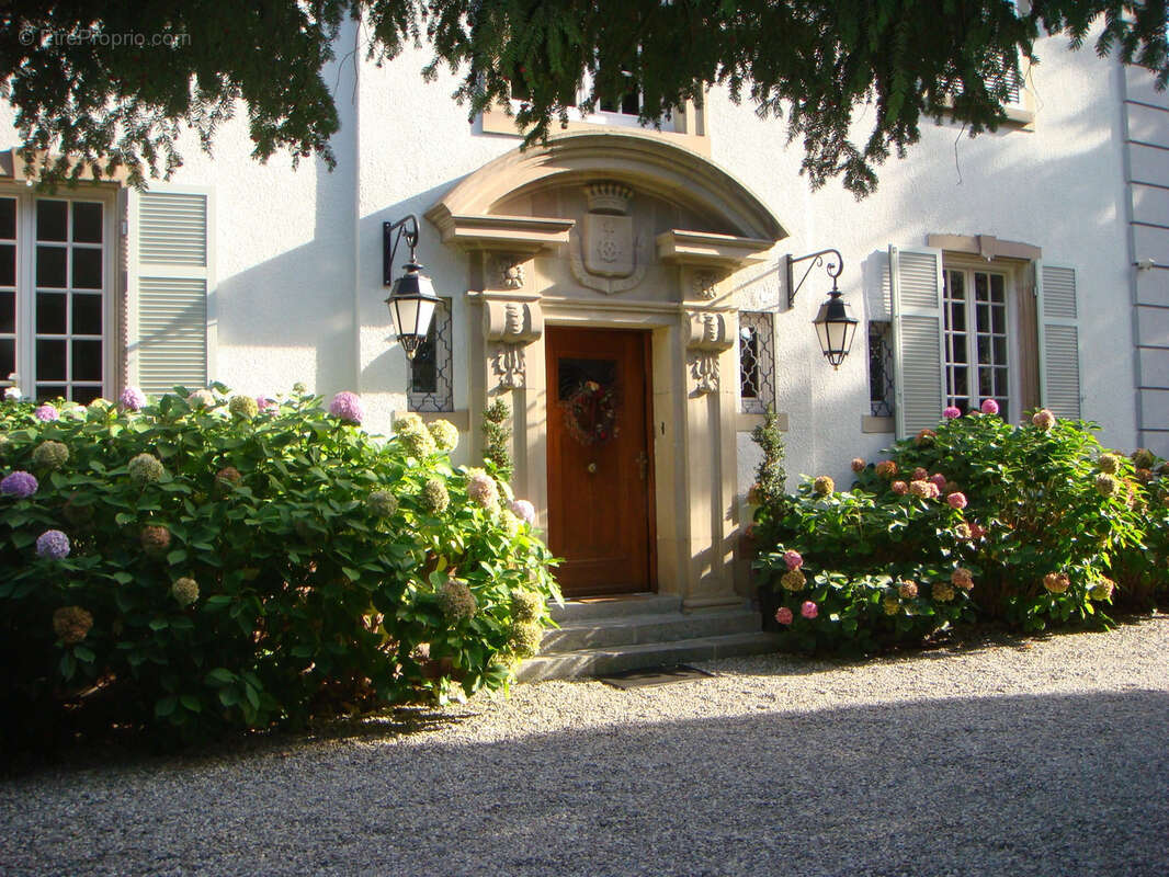 Mulhouse rebberg hauteurs - photo 19