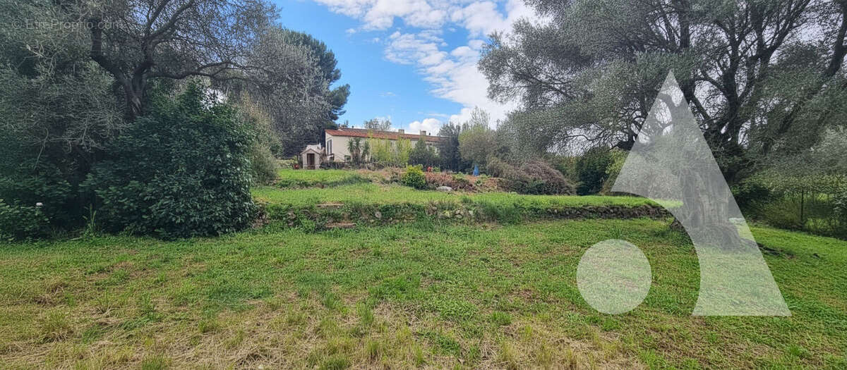 Terrain à LE CASTELLET