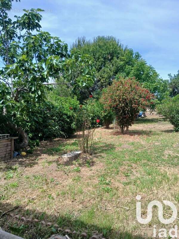 Photo 2 - Maison à LUC-SUR-ORBIEU