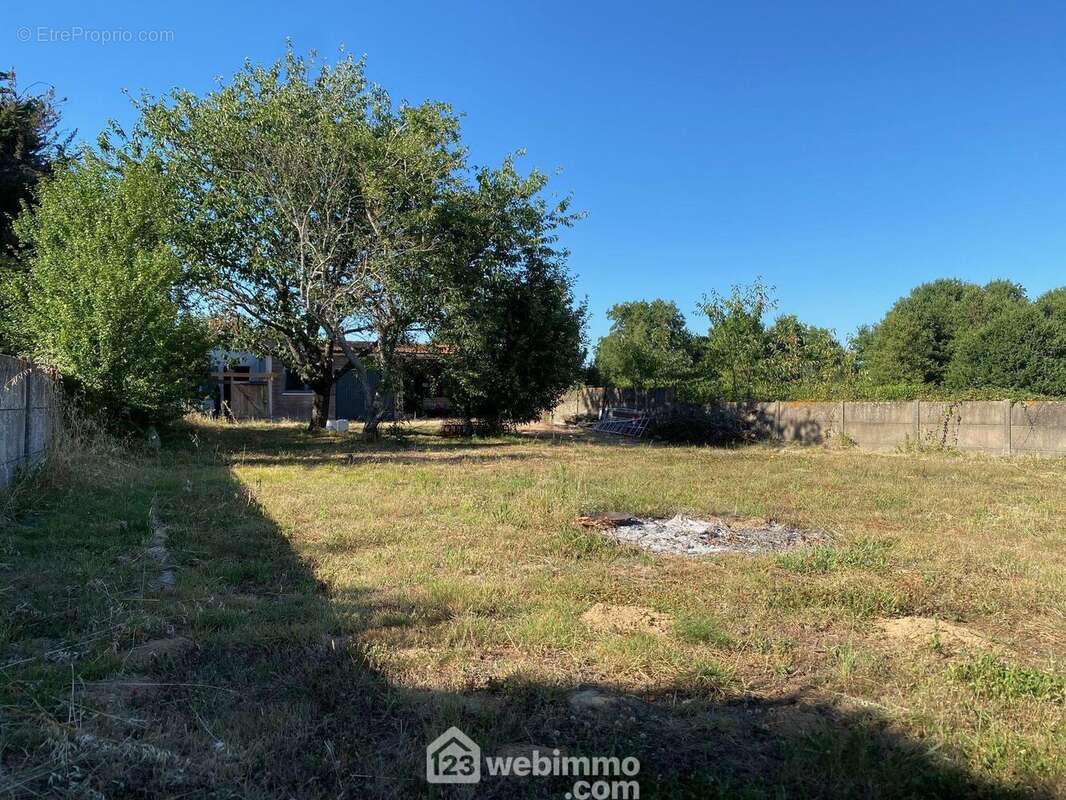 Terrain - Terrain à SAINT-HILAIRE-LA-FORET