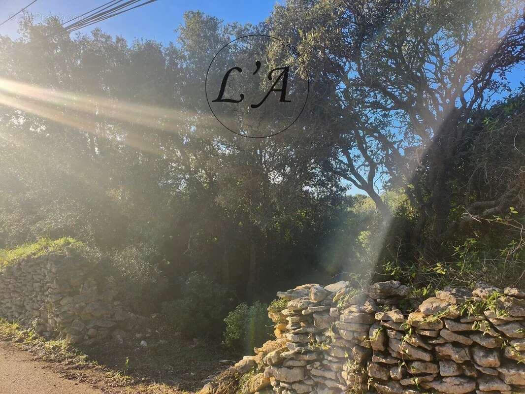 Terrain à BONIFACIO