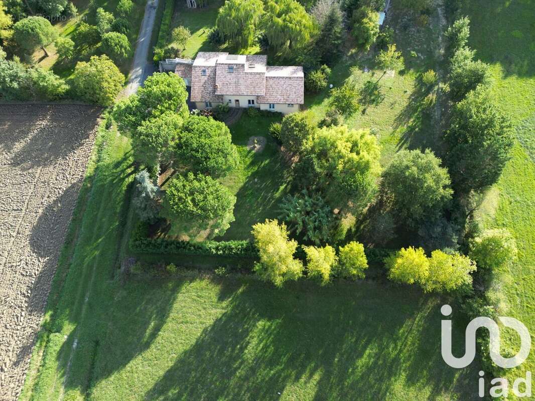 Photo 3 - Maison à REVEL