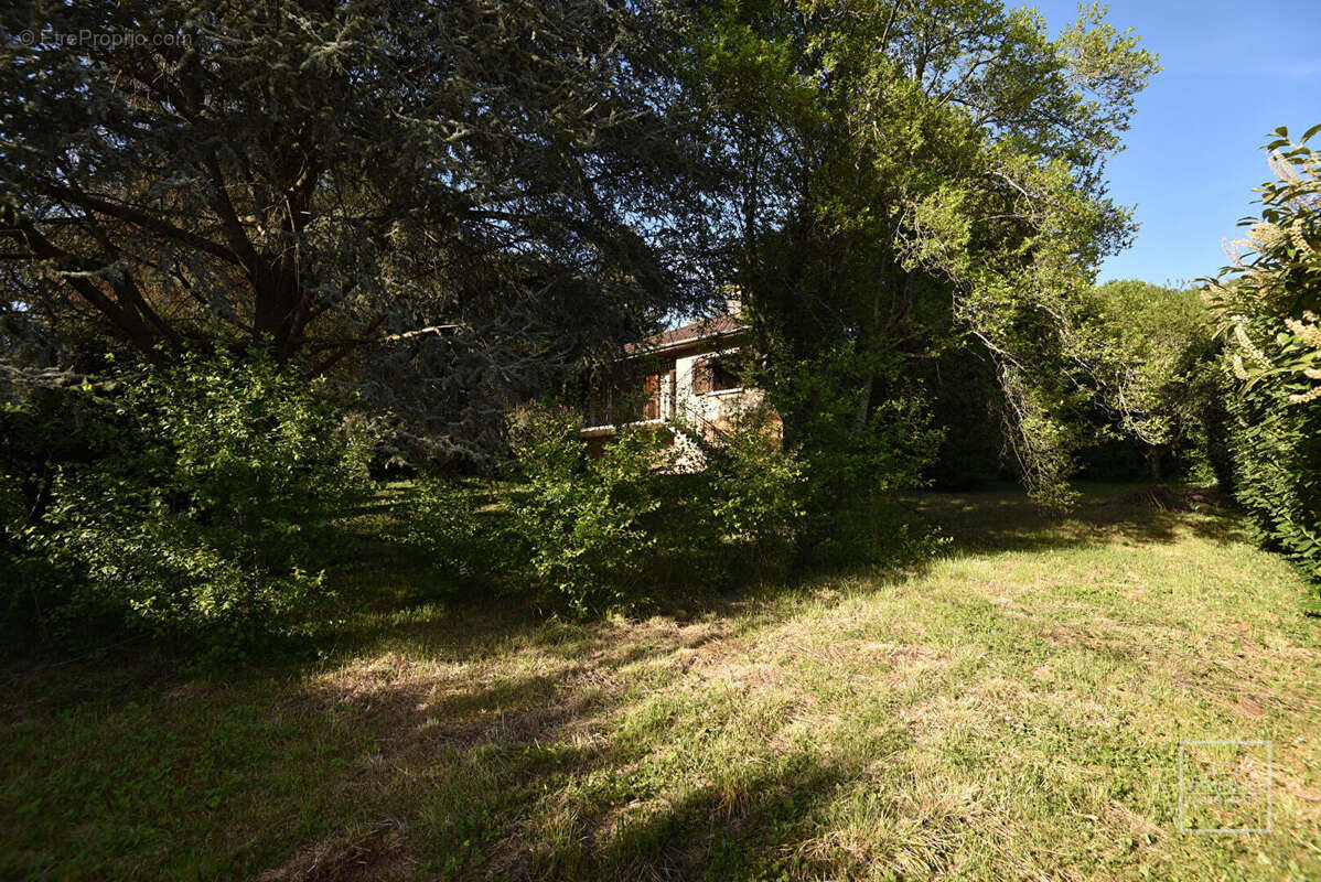Maison à SAINT-CYR-AU-MONT-D'OR