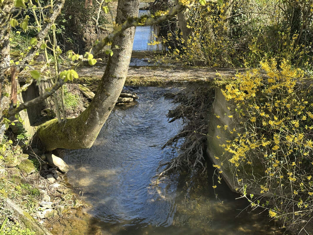 Terrain à HAUTE-VIGNEULLES