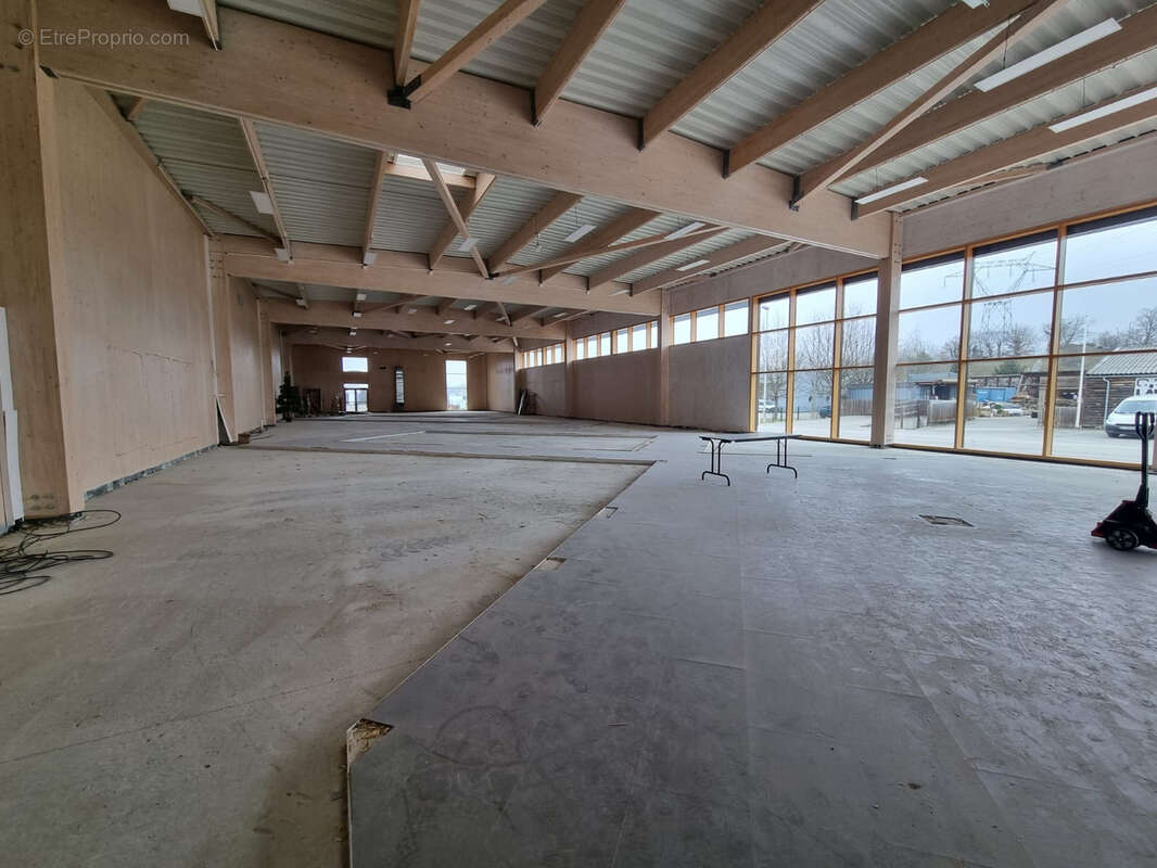 Commerce à LA ROCHE-SUR-FORON