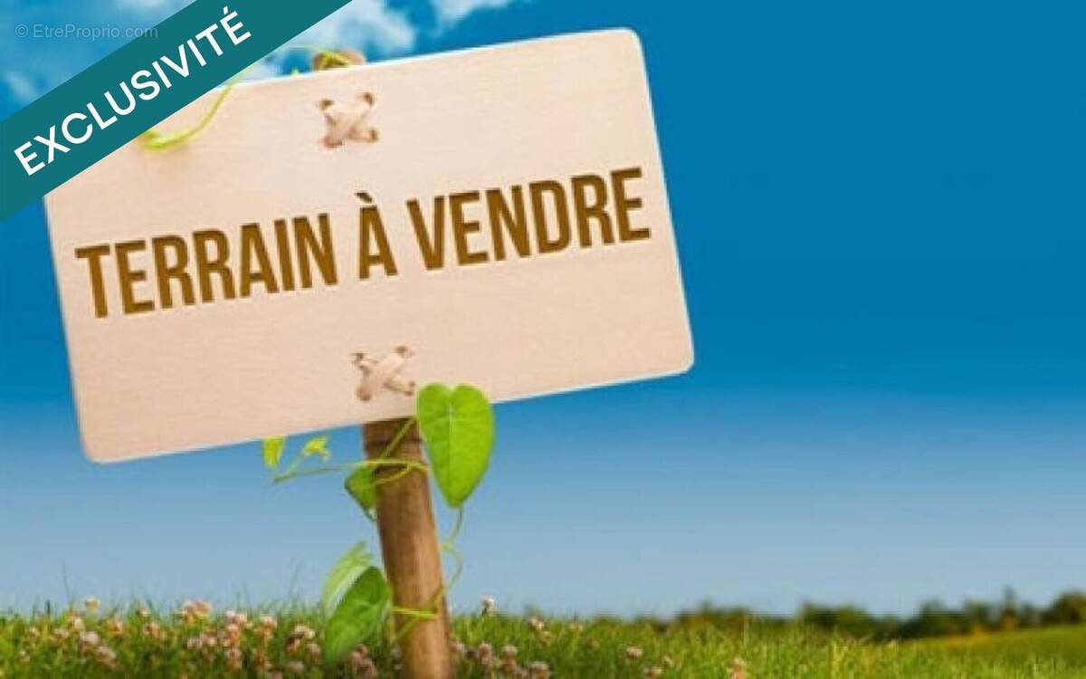 Photo 1 - Terrain à VERRIERES