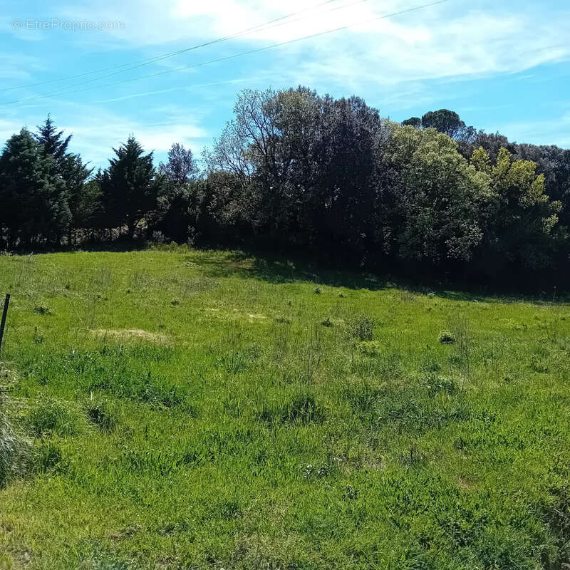 Terrain à MONTOLIEU