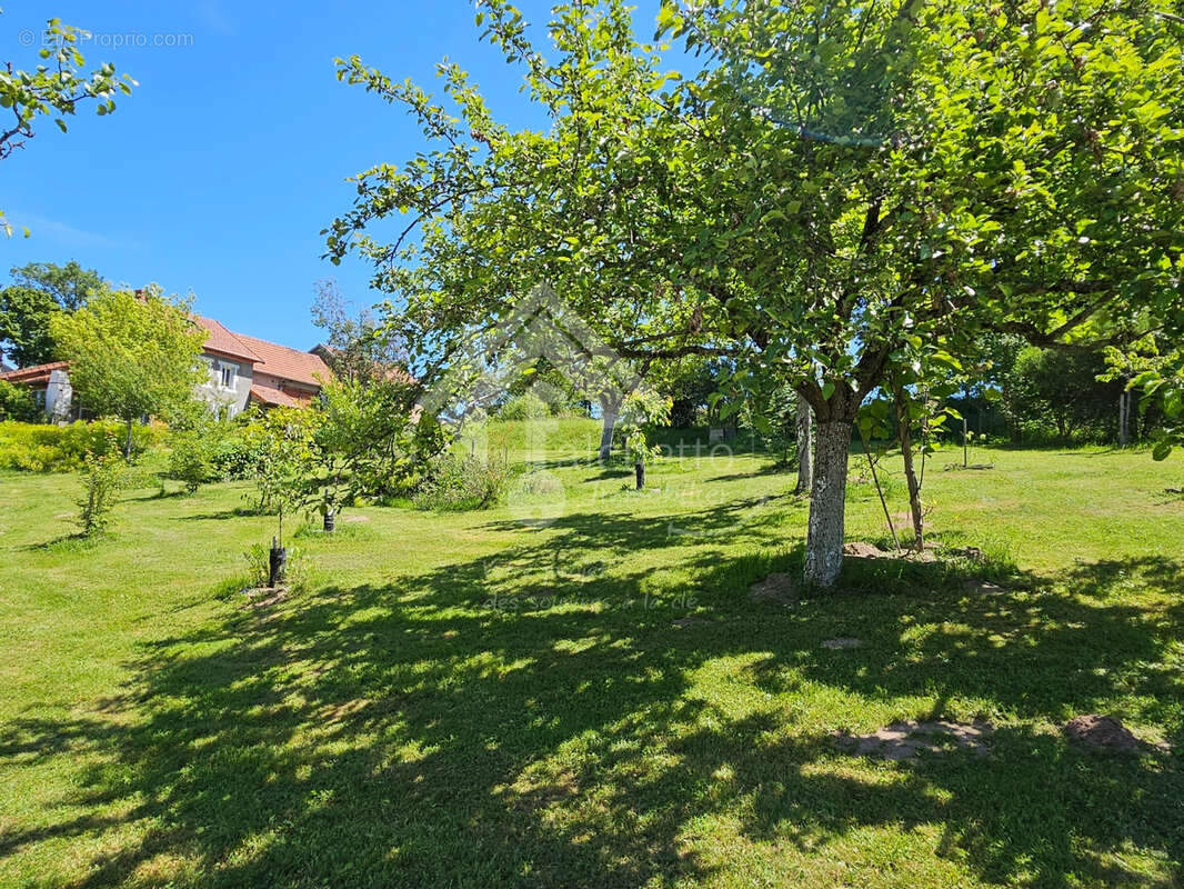 Au coeur de la Montagne Bourbonnaise - photo 15