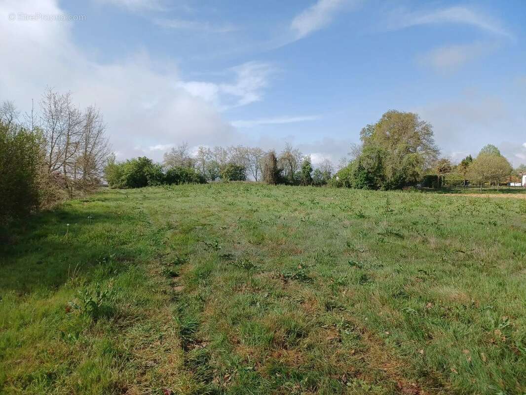 Terrain constructible à vendre | Magnan | Gers | Terrain constructible de 3690 m2 - Calme et belle vue - Terrain à MAGNAN