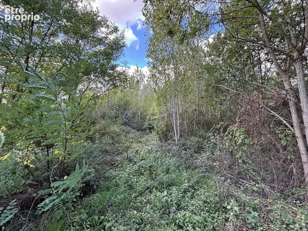 Terrain 10 836 m² à vendre à Morannes (49640) - photo 2