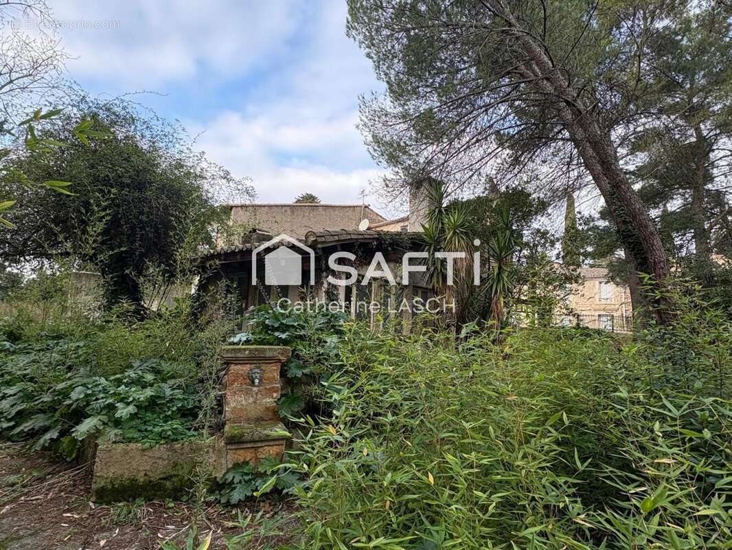 Photo 7 - Maison à BAILLARGUES