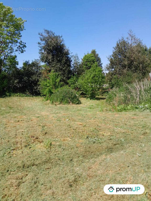 Terrain à MONTEROLIER