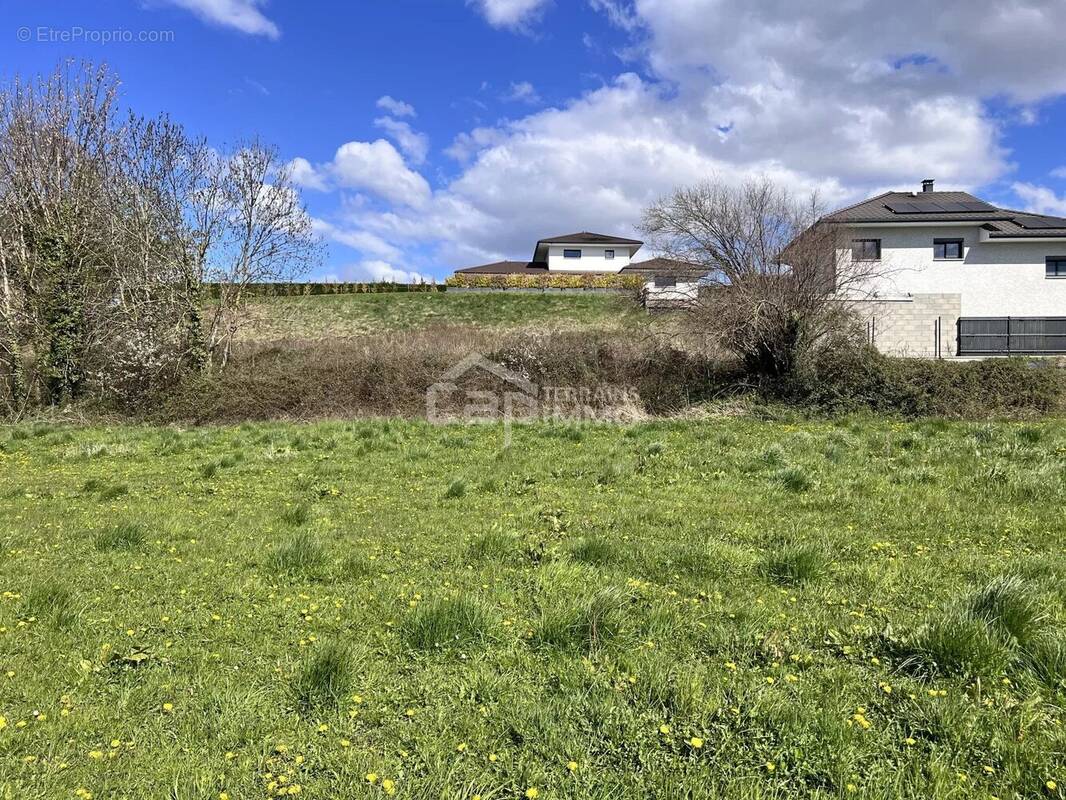 Terrain à FESSY