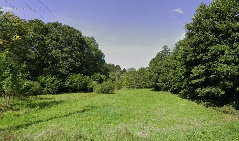 Terrain à SAULXURES