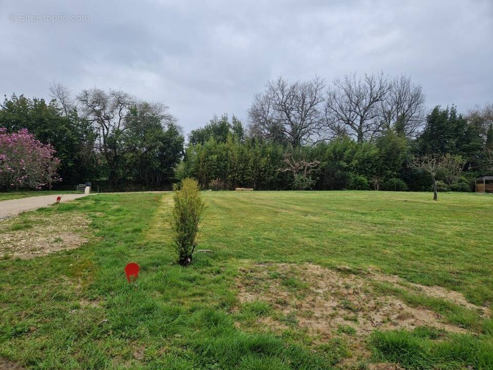 Terrain à MONTUSSAN