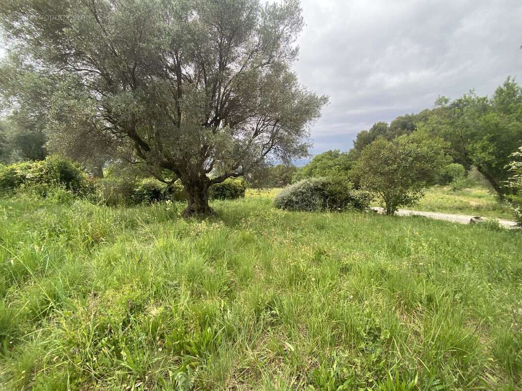 Terrain à bâtir de 522 m² à LE CASTELLET (83) - photo 3
