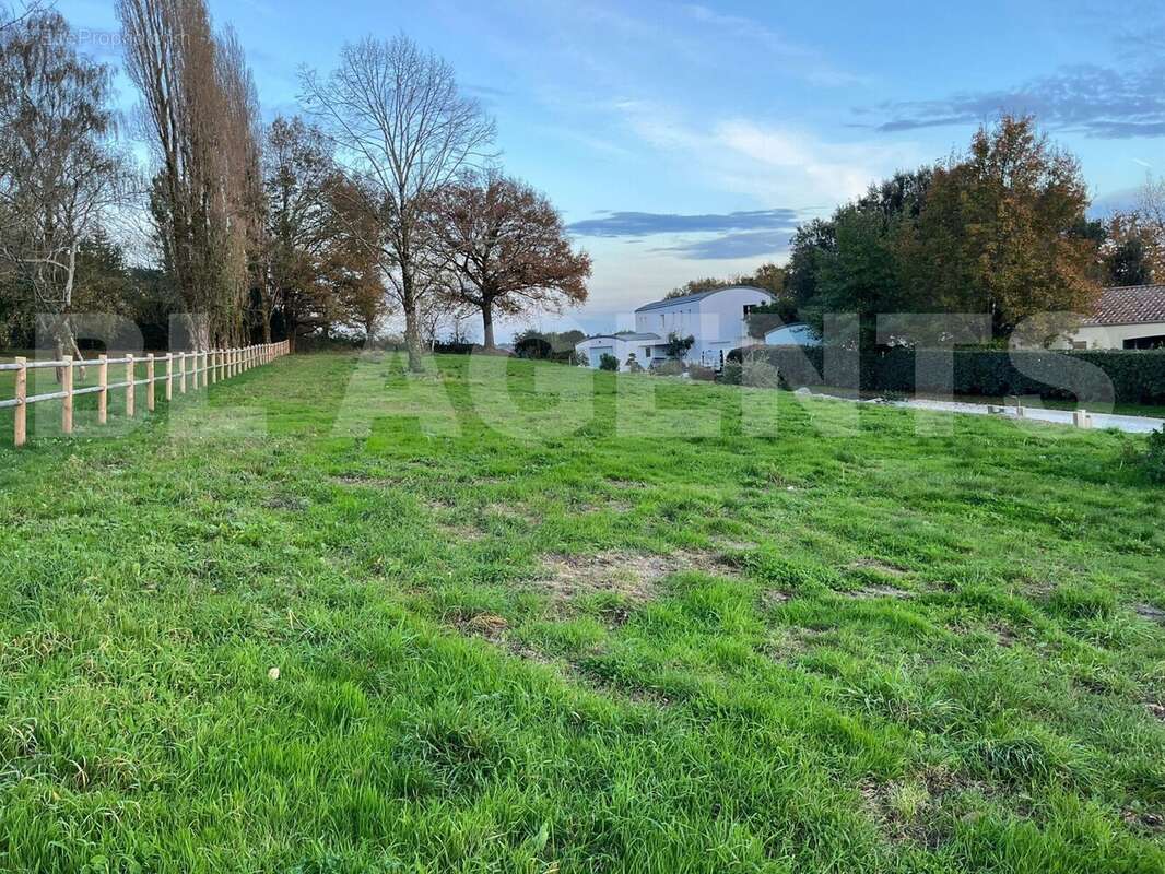 IMG-20251115-WA0013 - Terrain à CHEFFOIS