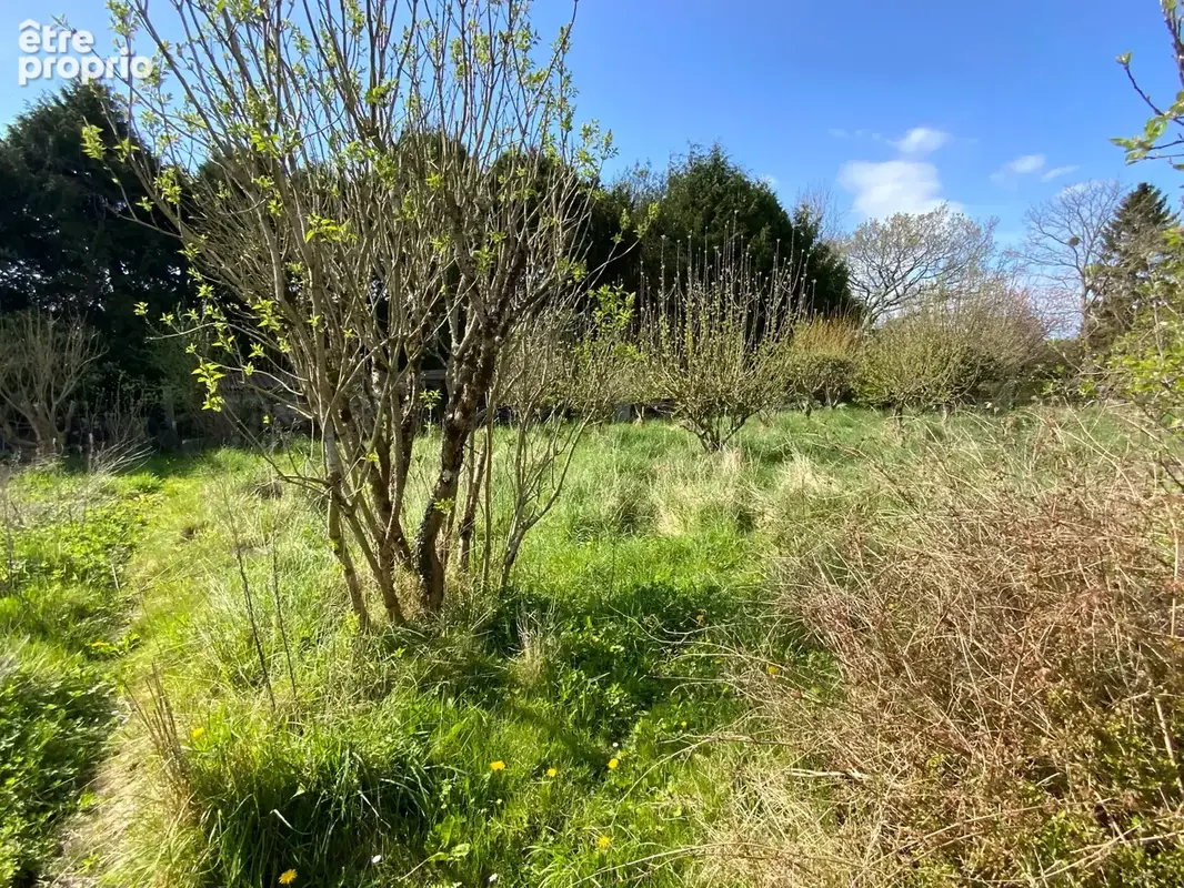 Bâtiment avec terrain - photo 3