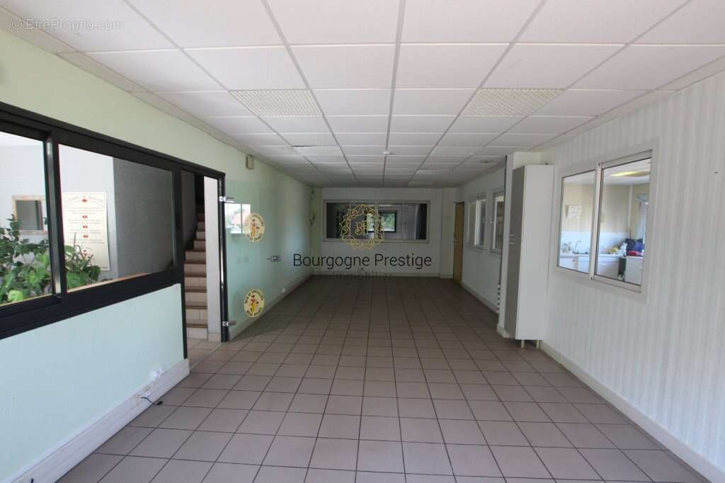 Batiment industriel 922 m² dont bureaux 332 m². stockage chambres froides 590 m² sur un terrain de 10 153 m² - photo 11