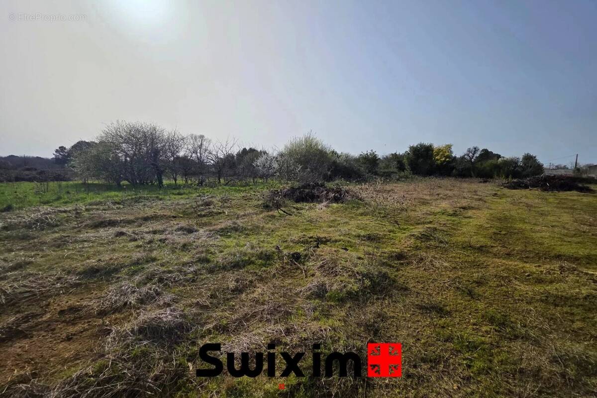 Terrain à SAINT-GERMAIN-D'ESTEUIL