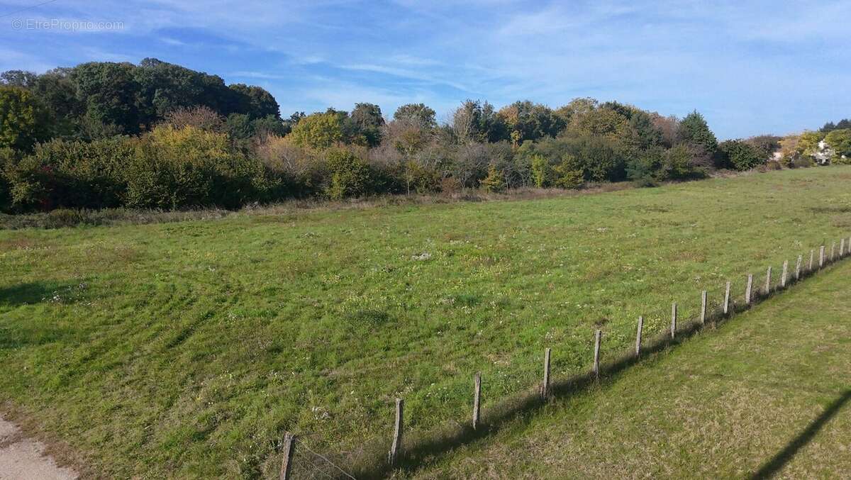 Terrain à POUILLY-SUR-SAONE