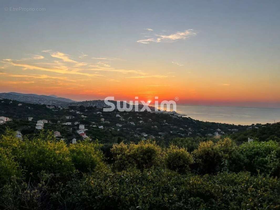 Maison - vue mer - 2 chambres - terrain - photo 16