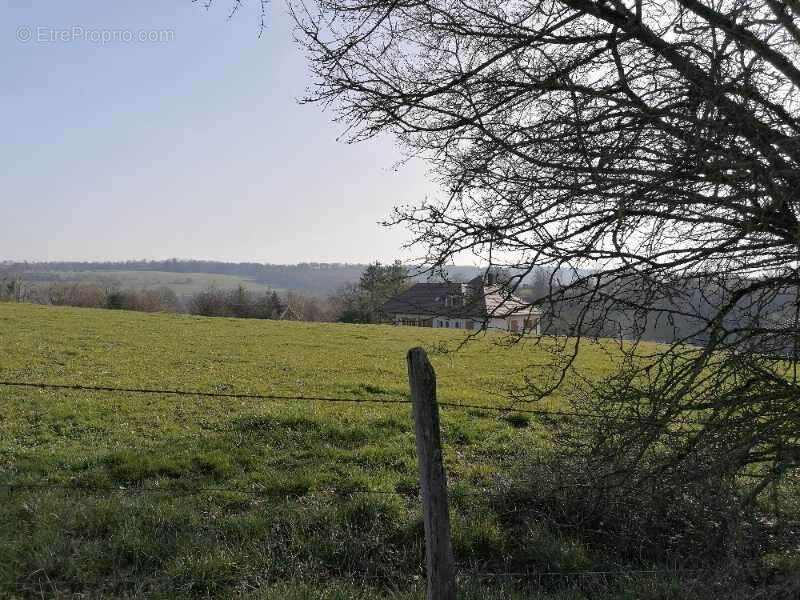 Terrain à ALLENJOIE