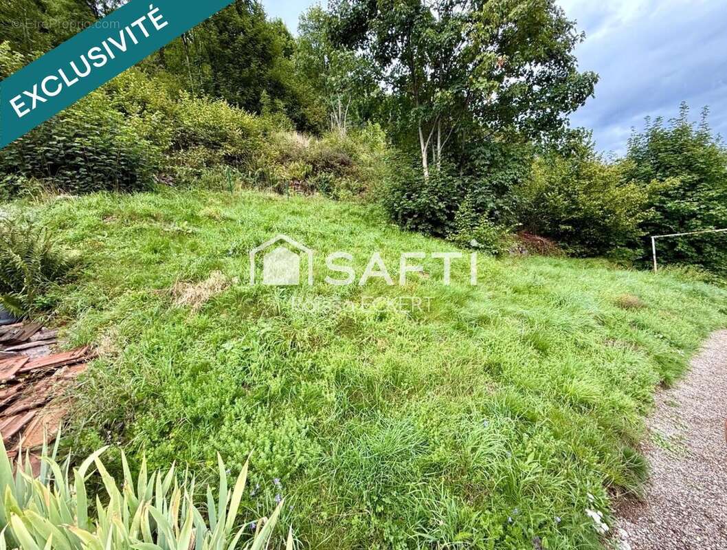 Photo 6 - Maison à LE BONHOMME