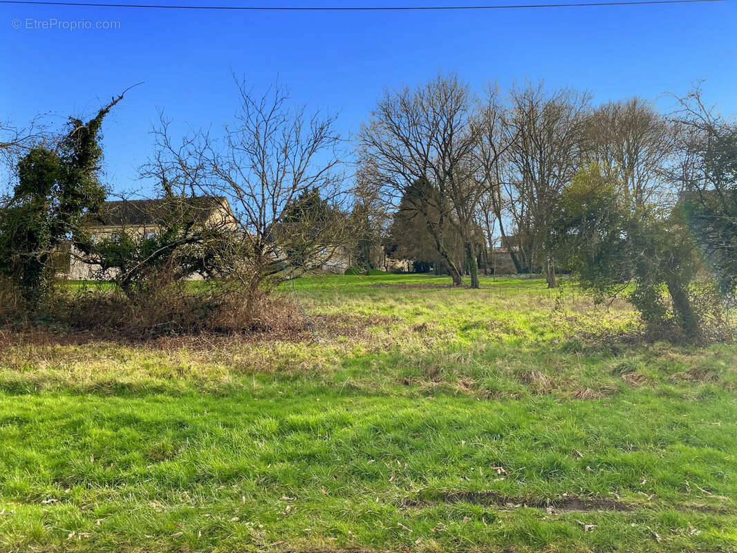 Terrain 2020 m² à Courtenay  - photo 3