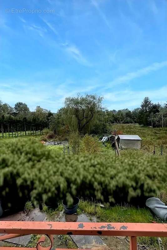 Photo 5 - Maison à LAVAL-SUR-VOLOGNE