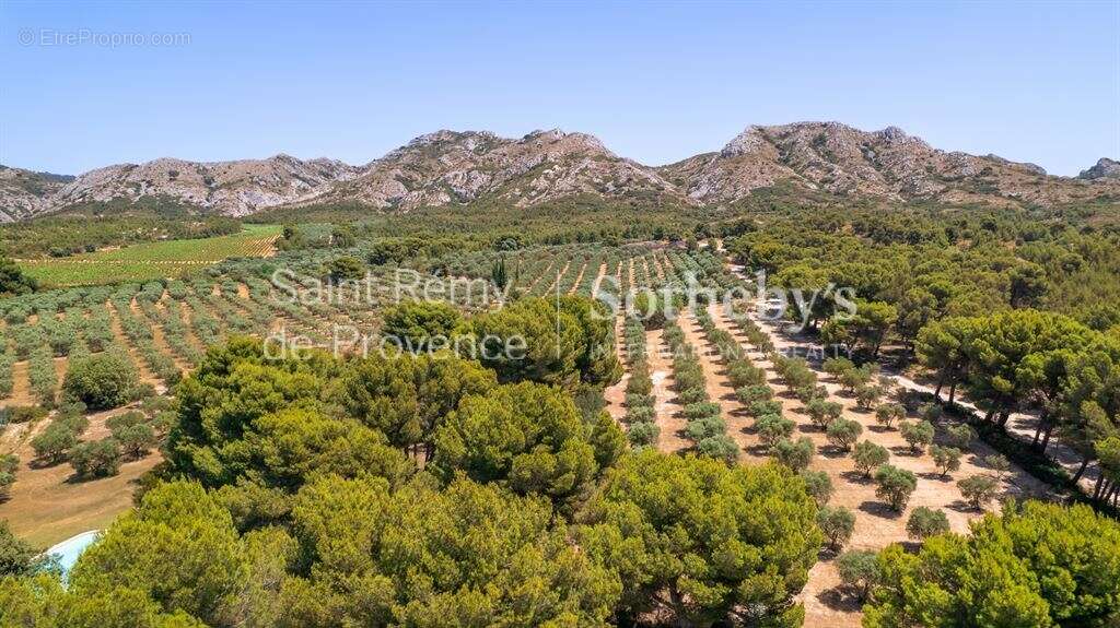 Maison à MAUSSANE-LES-ALPILLES