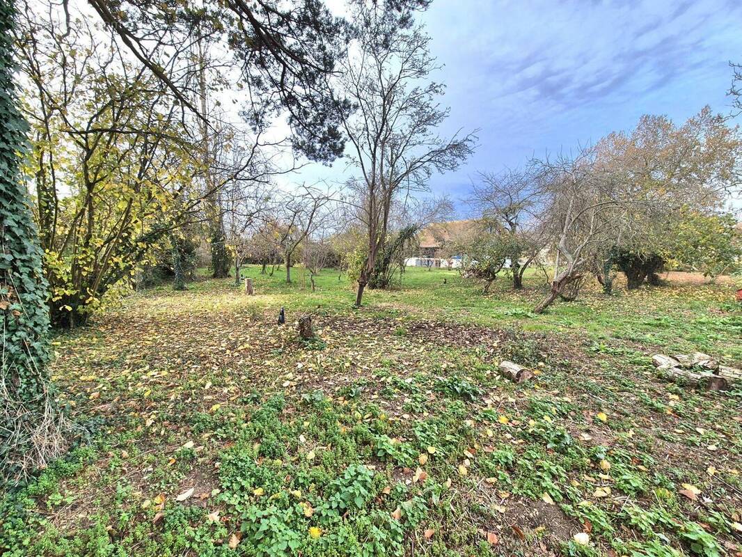 Photo 1 - Terrain à LOMMOYE